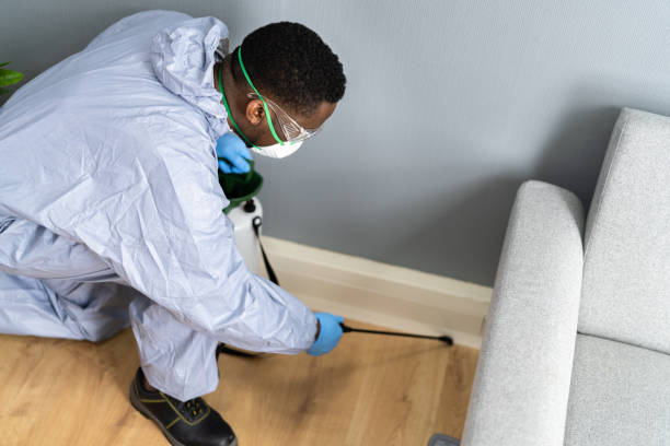 Best Residential Pest Control  in Saddlebrooke, AZ